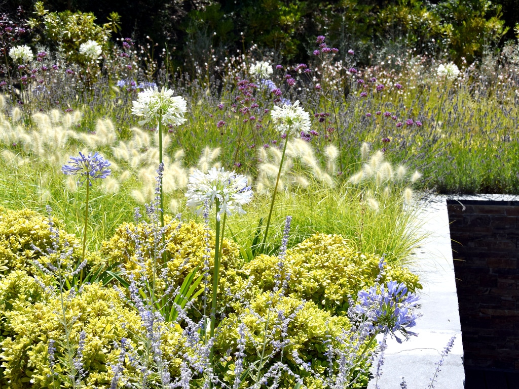 Création d'un jardin zen avec fleurs au printemps